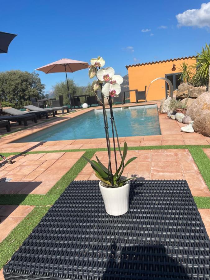 A Casa Di Jo Bed & Breakfast Calenzana Dış mekan fotoğraf
